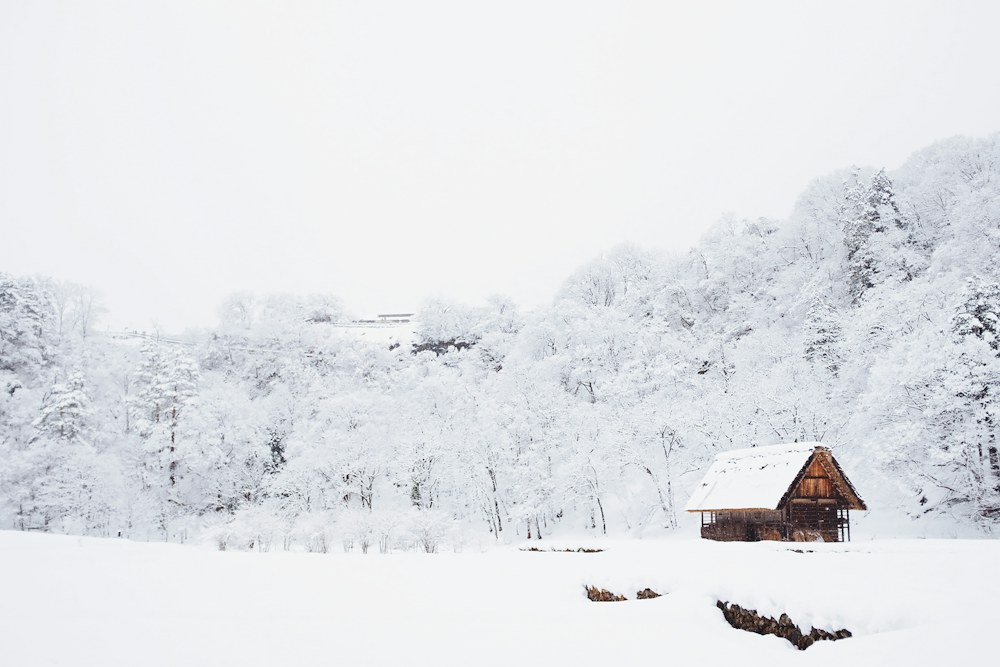 Montanhas cobertas de neve em um destino de inverno